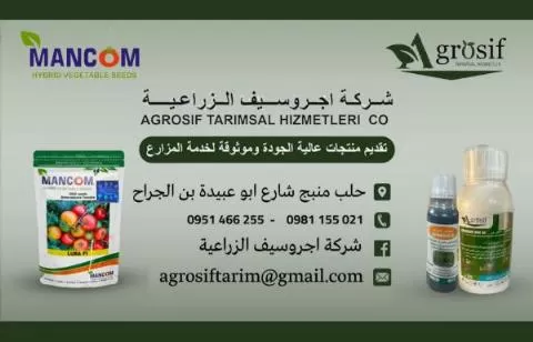 Agro Seif Agricultural Company