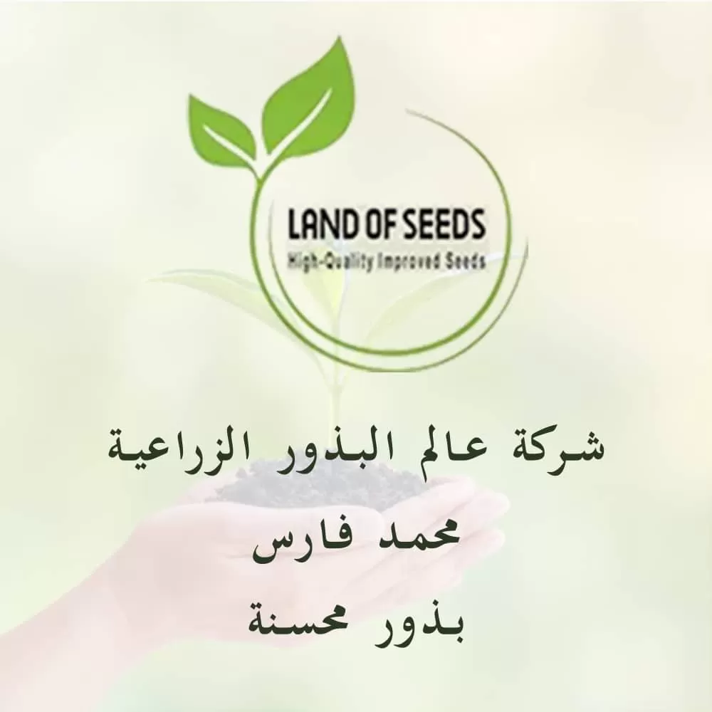 عالم البذور الزراعية 