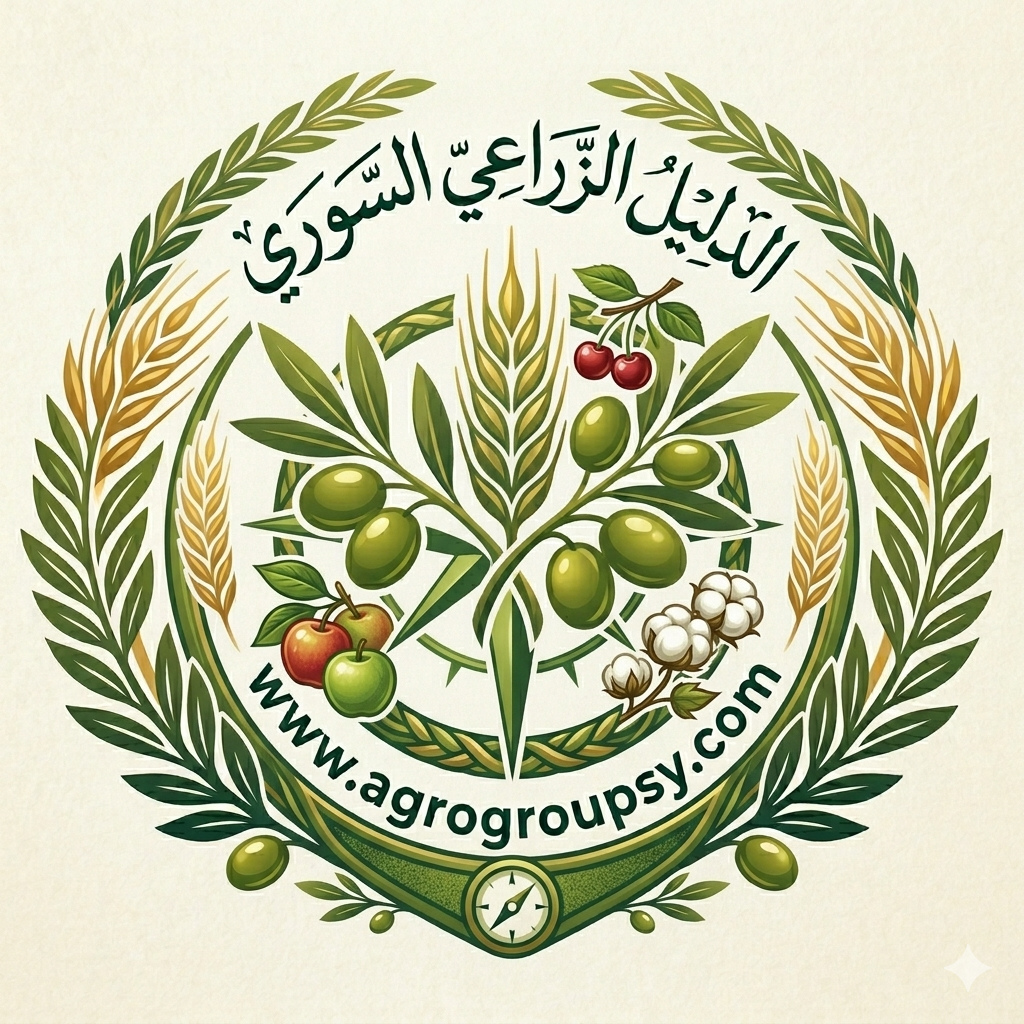 تعزيزاً للدور الريادي لـ 
