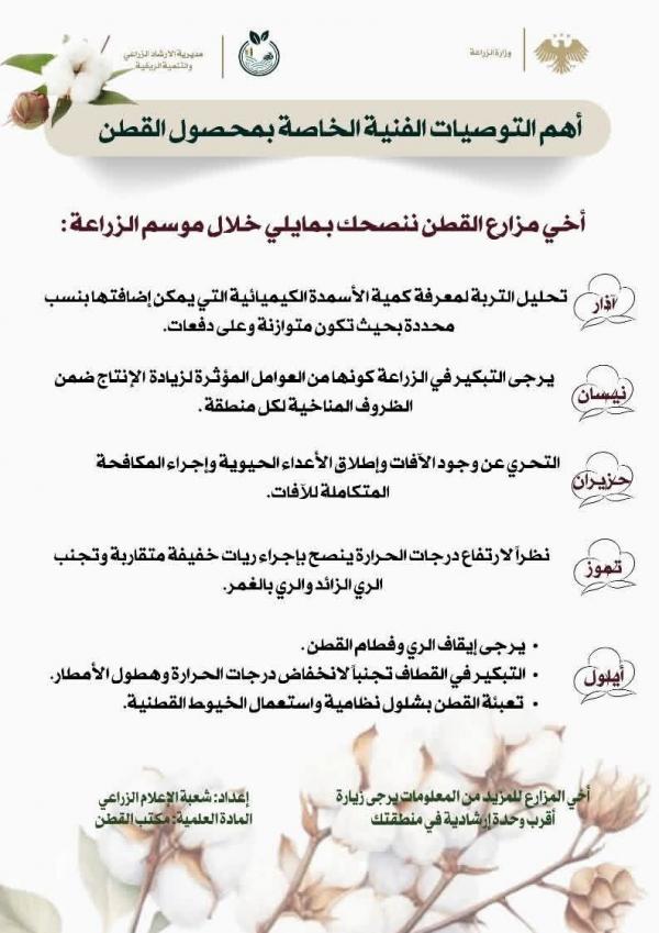 دليل مزارع القطن: التوصيات الفنية الشاملة لموسم زراعي ناجح