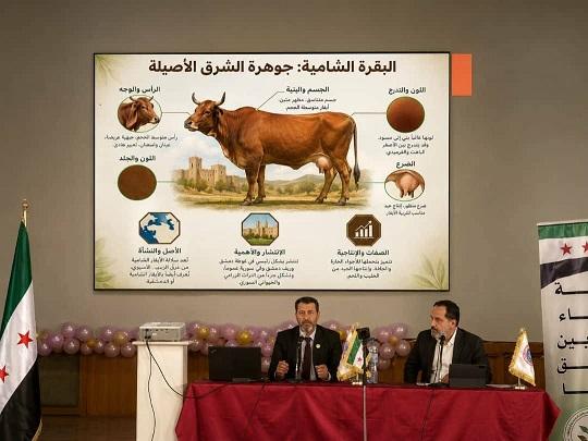 غرفة زراعة دمشق تبحث آليات استثمار الأبقار والماعز الشامي كـ 