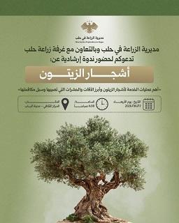 مديرية الزراعة في حلب تعلن عن ندوة إرشادية حول خدمة ومكافحة آفات أشجار الزيتون في مدينة الباب