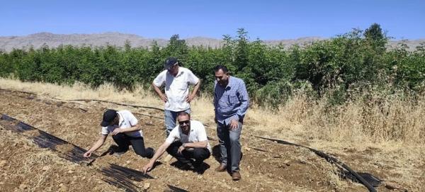 Damascus Chamber of Agriculture Supervises the Seed Research Station Project in Sahl Al Zabadani
